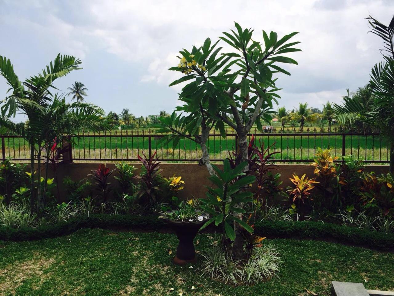 Villa Bali Green Ubud Eksteriør billede